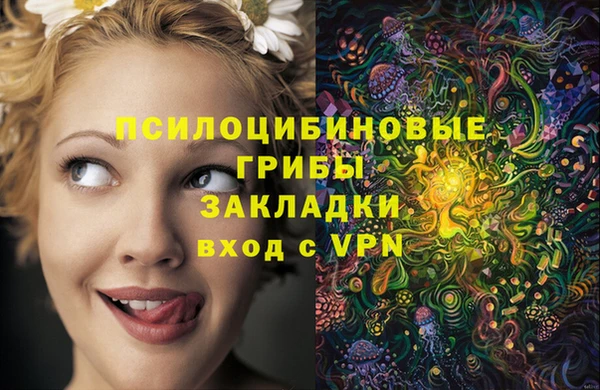 кокс Яранск