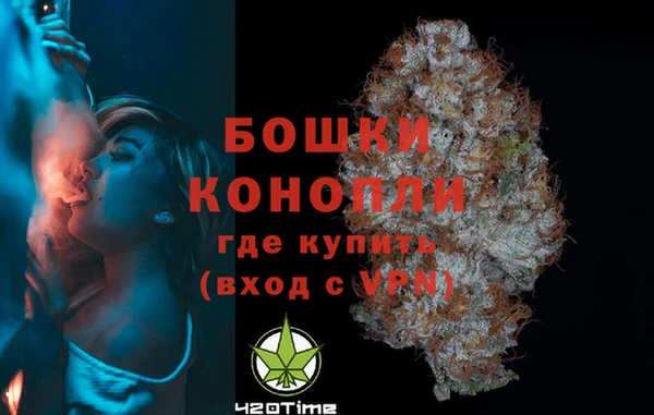 сатива Яровое